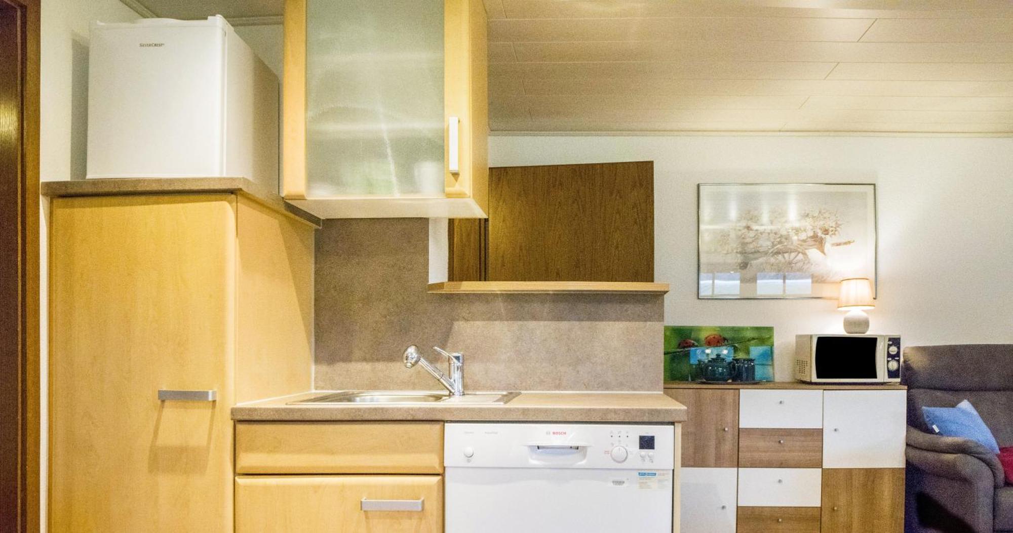 Oberengenbachhof Apartment Eisenbach  Ngoại thất bức ảnh